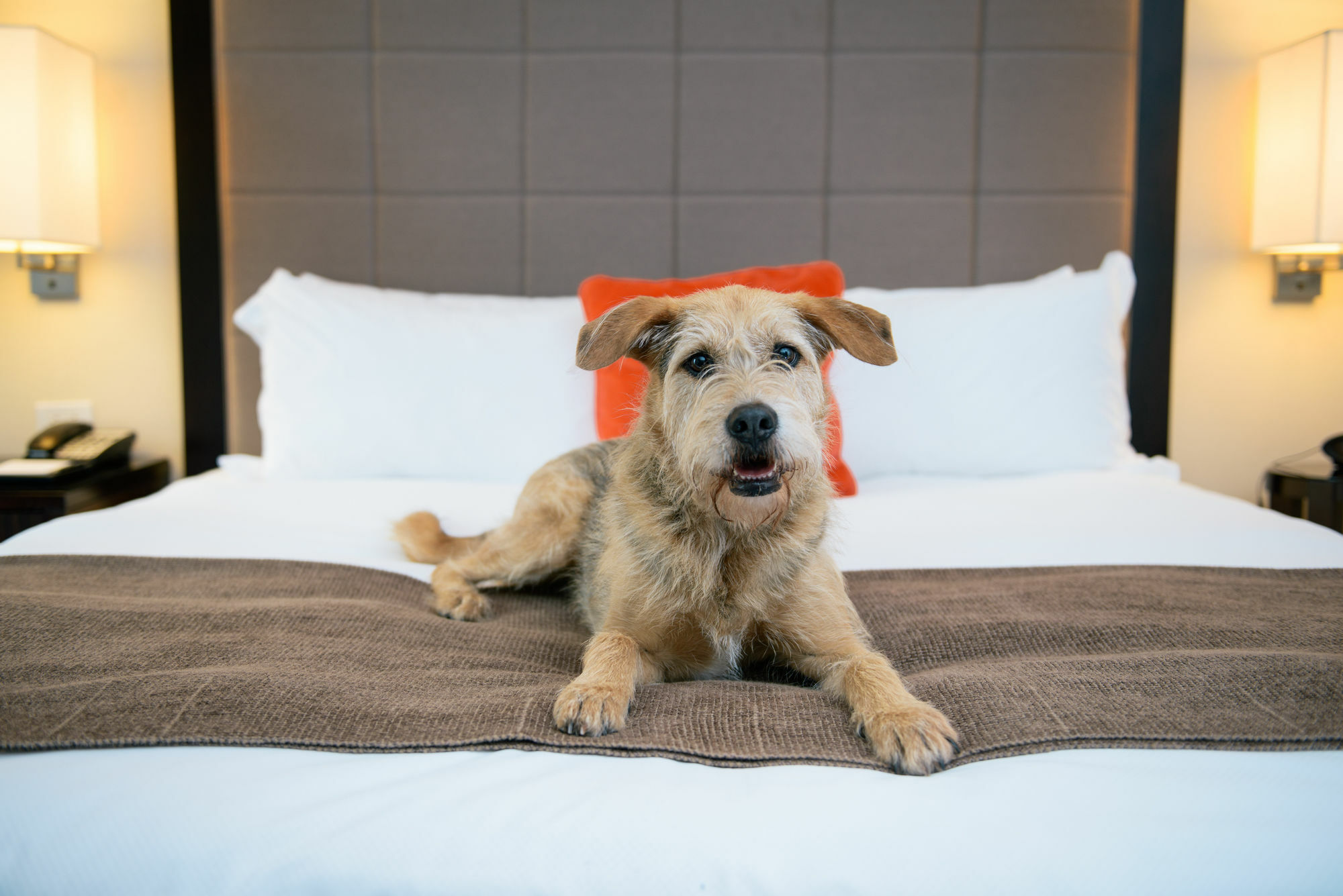 Candlewood Suites Charleston-Northwoods By Ihg Βόρειο Τσάρλεστον Εξωτερικό φωτογραφία
